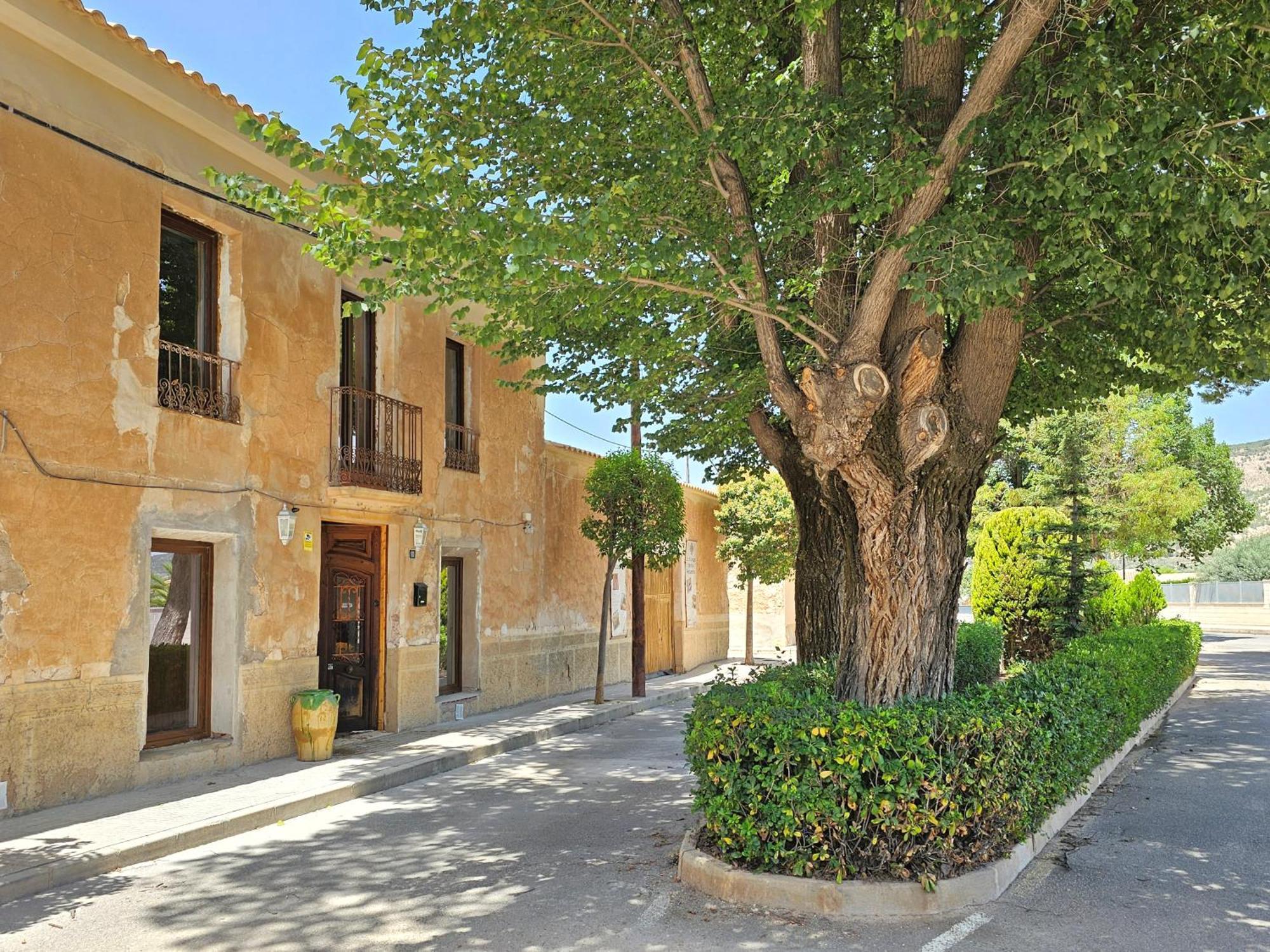 Casa Rodriguillo Bed & Breakfast Pinoso Exterior photo